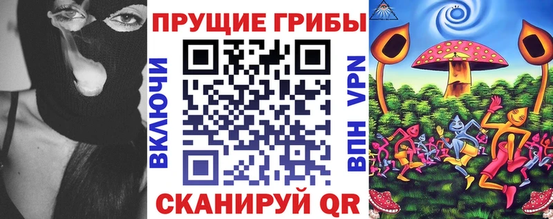 Псилоцибиновые грибы Cubensis  Купить закладки  Улан-Удэ 